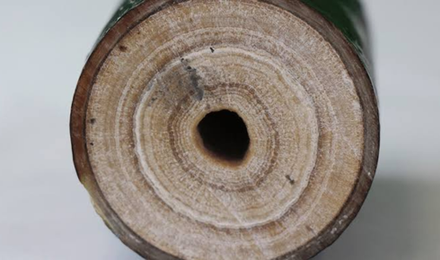 water quality concerns
